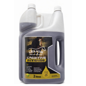 Creatina Liquida Intense 2l