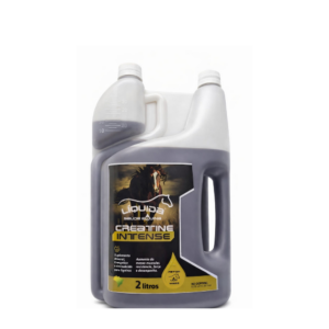 Creatina Liquida Intense 2l
